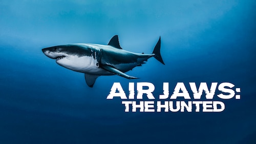 Air Jaws: The Hunted poster — movie on Max