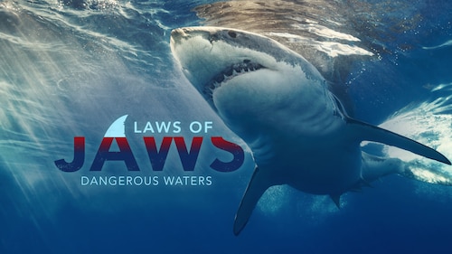 Laws of Jaws: Dangerous Waters poster — movie on Max