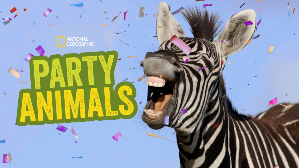 Party Animals poster — TV series on Disney+