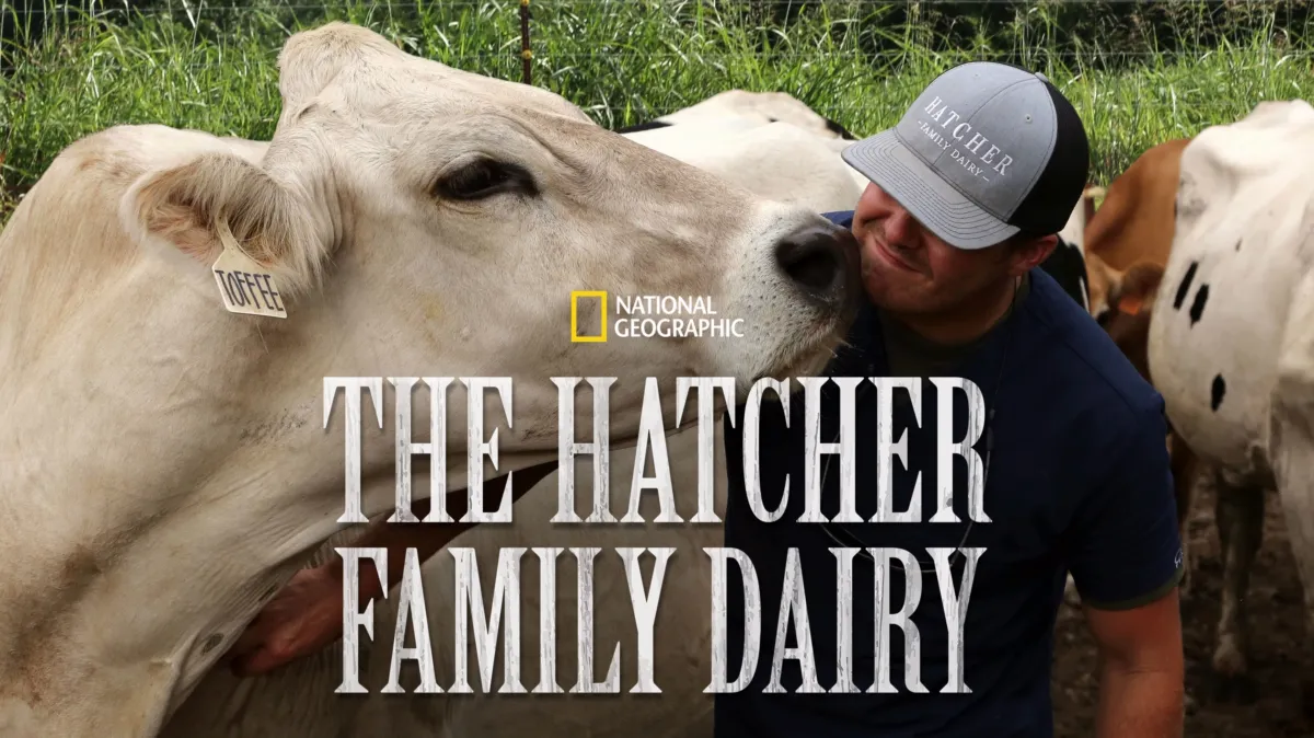 The Hatcher Family Dairy poster — TV series on Disney+