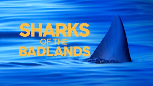 Sharks of the Badlands poster — movie on Max