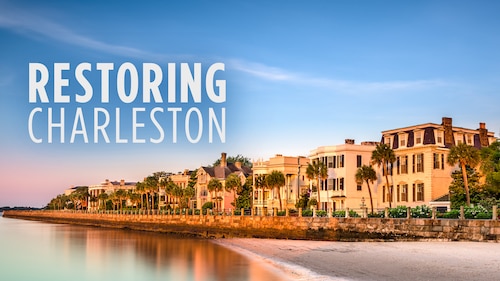 Restoring Charleston poster — TV series on Max