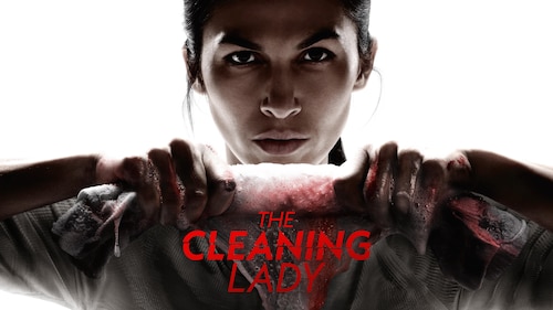 The Cleaning Lady poster — TV series on Max