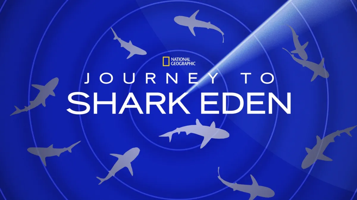 Journey to Shark Eden poster — movie on Disney+