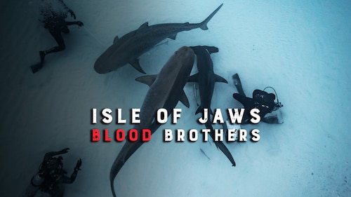 Isle of Jaws: Blood Brothers poster — movie on Max