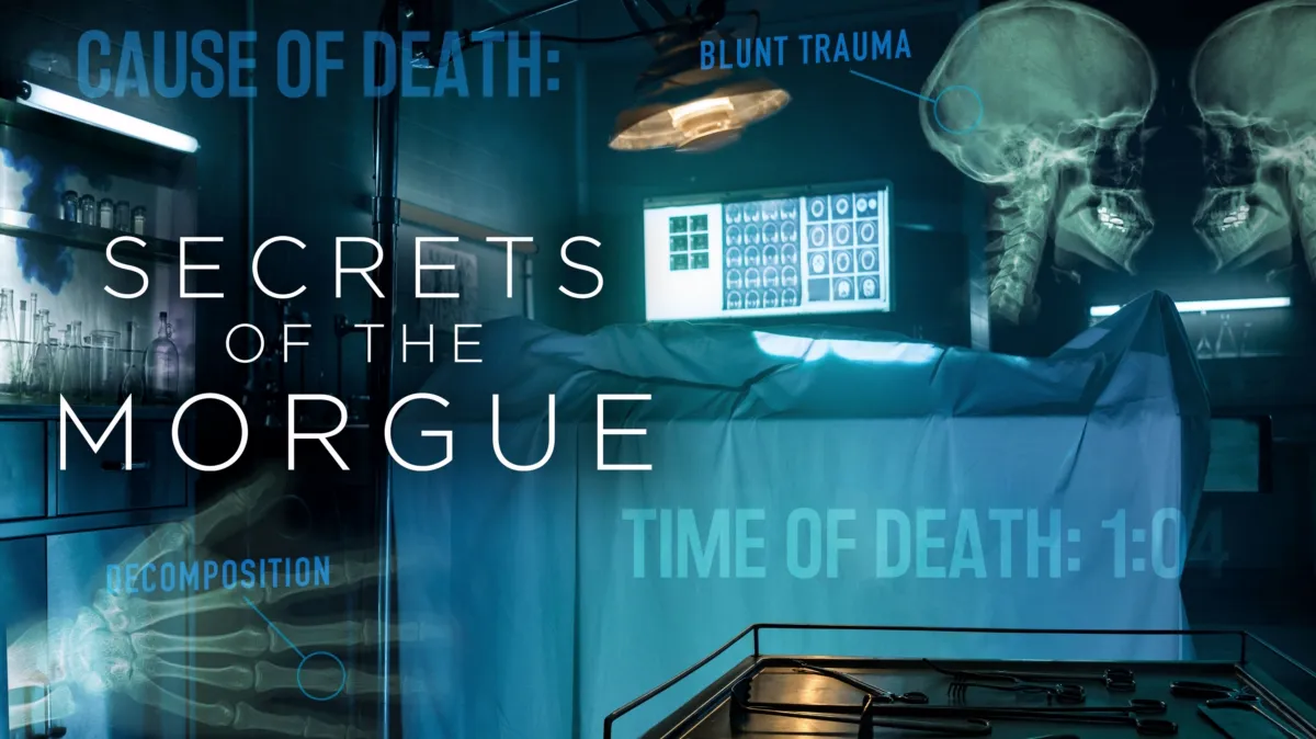 Secrets of the Morgue poster — TV series on Disney+