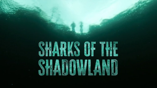 Sharks Of The Shadowlands poster — movie on Max