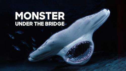Monster Under the Bridge poster — movie on Max