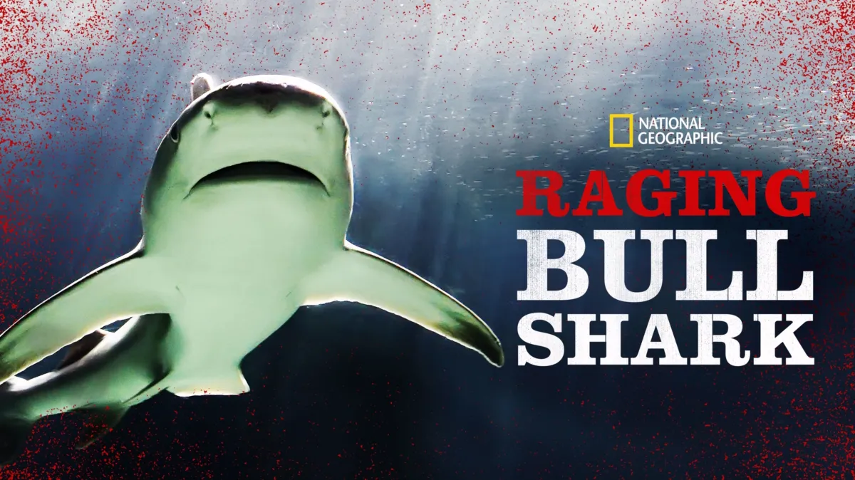 Raging Bullshark poster — movie on Disney+