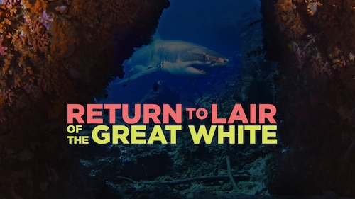 Return to Lair of the Great White poster — movie on Max