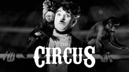 The Circus poster — movie on Max