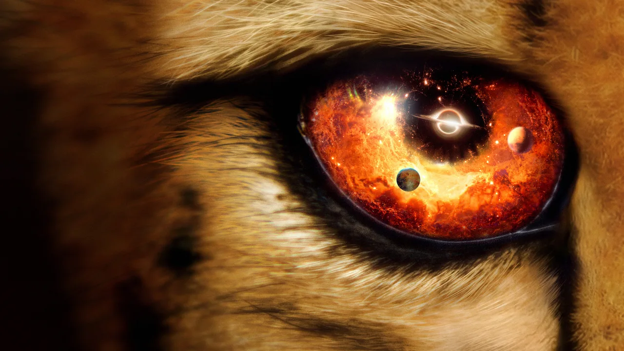 Our Universe