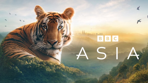 Asia poster — TV series on Max