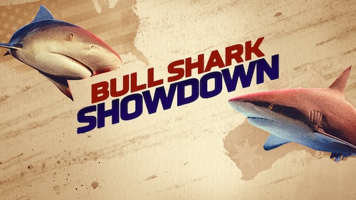 Bull Shark Showdown poster — movie on Max