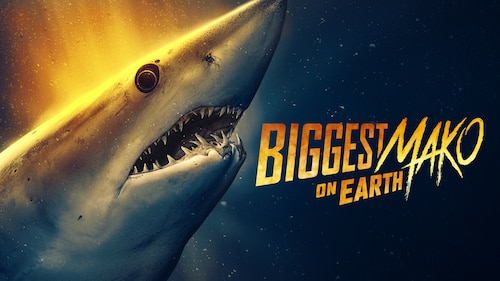 Biggest Mako on Earth poster — movie on Max