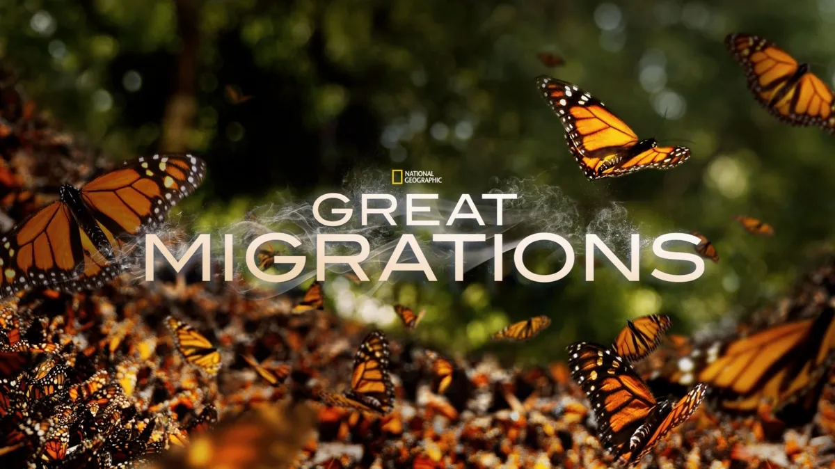 Great Migrations poster — TV series on Disney+