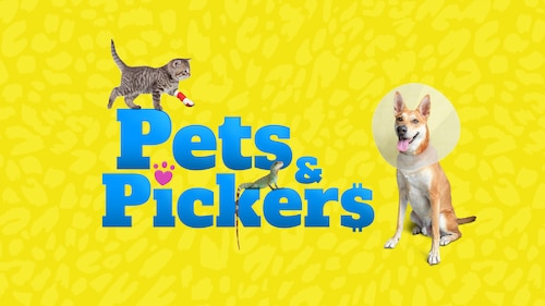 Pets & Pickers poster — TV series on Max