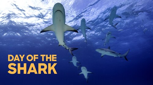 Day of the Shark poster — movie on Max